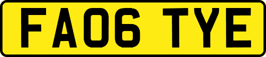 FA06TYE