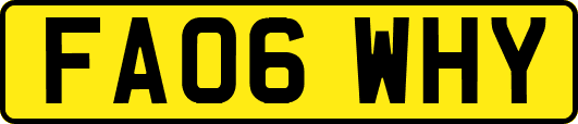 FA06WHY