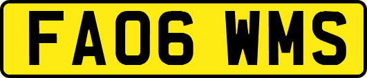 FA06WMS