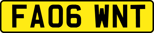 FA06WNT