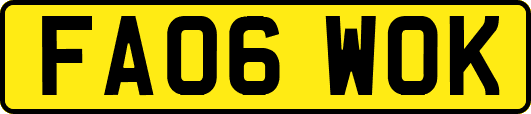 FA06WOK