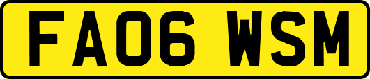 FA06WSM