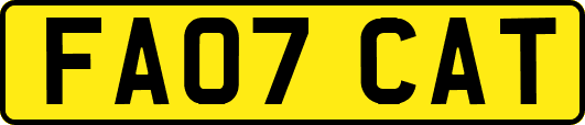 FA07CAT