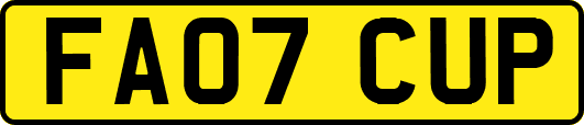 FA07CUP