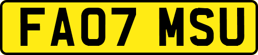 FA07MSU