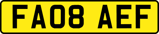 FA08AEF