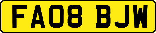 FA08BJW