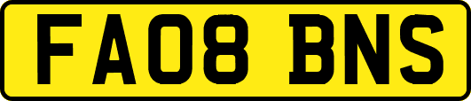 FA08BNS
