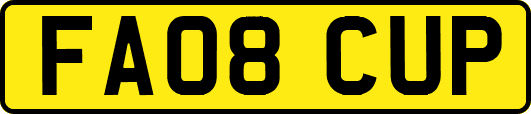 FA08CUP