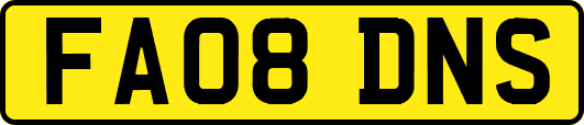 FA08DNS