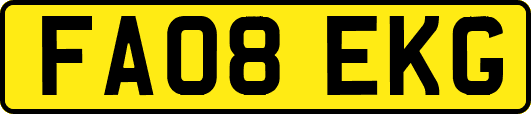 FA08EKG