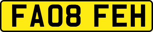 FA08FEH