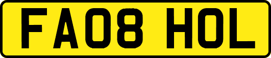 FA08HOL