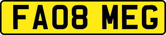 FA08MEG