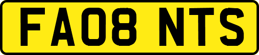 FA08NTS
