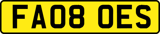 FA08OES