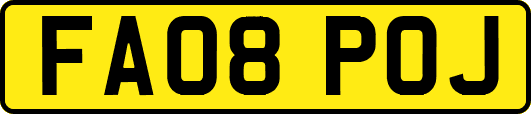 FA08POJ