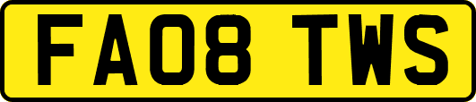 FA08TWS