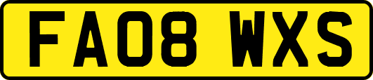 FA08WXS