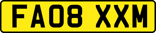 FA08XXM