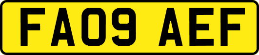 FA09AEF