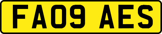 FA09AES
