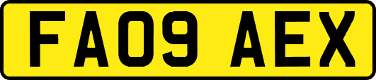 FA09AEX