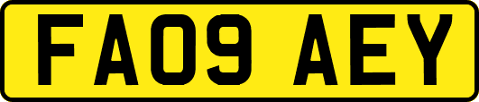 FA09AEY