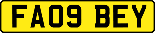 FA09BEY