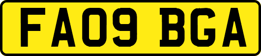 FA09BGA