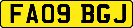 FA09BGJ