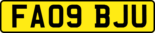 FA09BJU