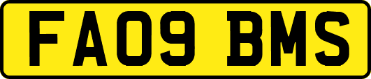 FA09BMS