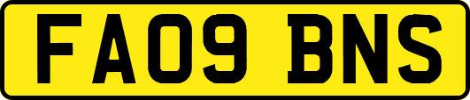 FA09BNS