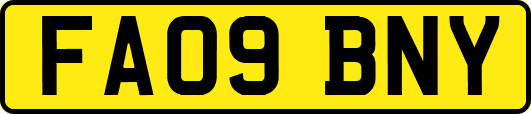 FA09BNY