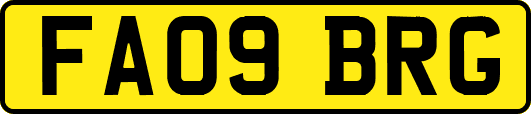 FA09BRG