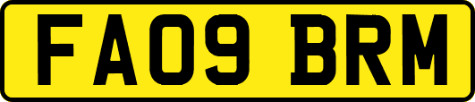 FA09BRM