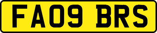 FA09BRS