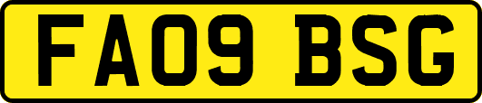 FA09BSG