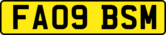 FA09BSM
