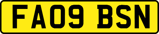 FA09BSN