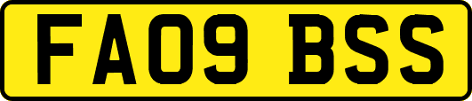 FA09BSS