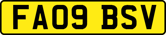 FA09BSV