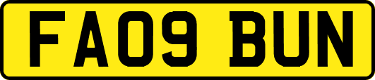 FA09BUN