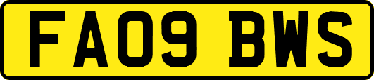 FA09BWS