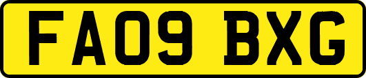 FA09BXG