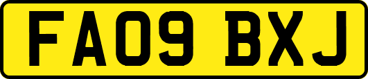 FA09BXJ