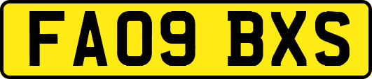 FA09BXS