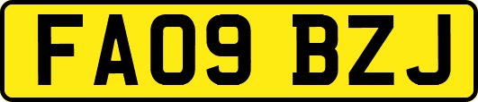 FA09BZJ