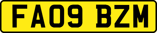 FA09BZM